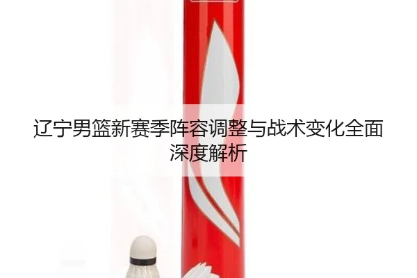 辽宁男篮新赛季阵容调整与战术变化全面深度解析